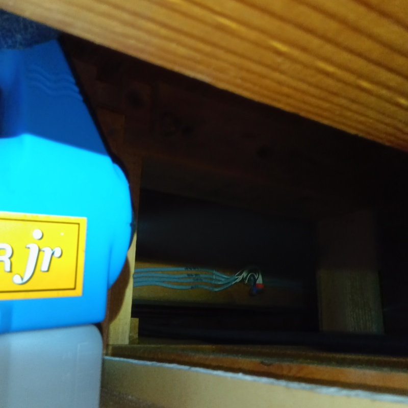 噴霧器で除菌剤を散布