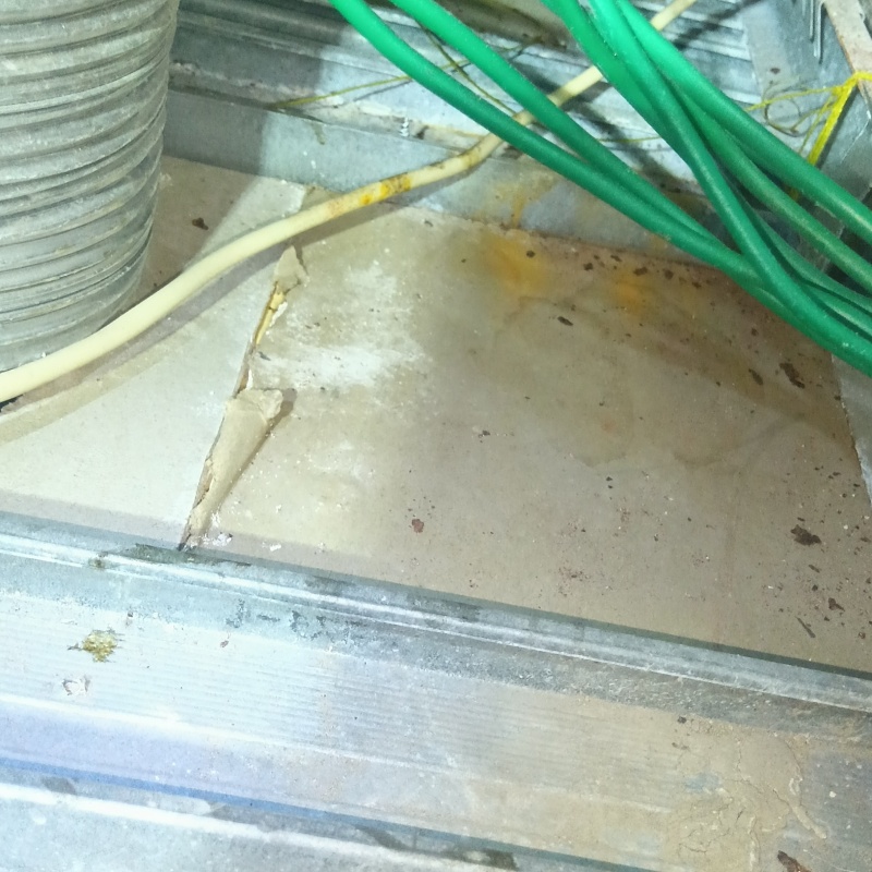 ネズミ駆除の施工事例（神奈川県逗子市逗子）