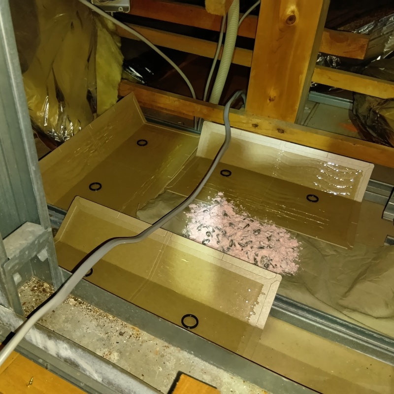 殺鼠剤のまわりに粘着シートを設置