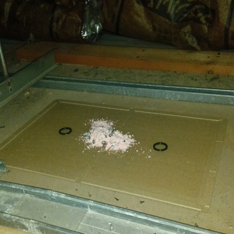 粘着シートの上に殺鼠剤を設置