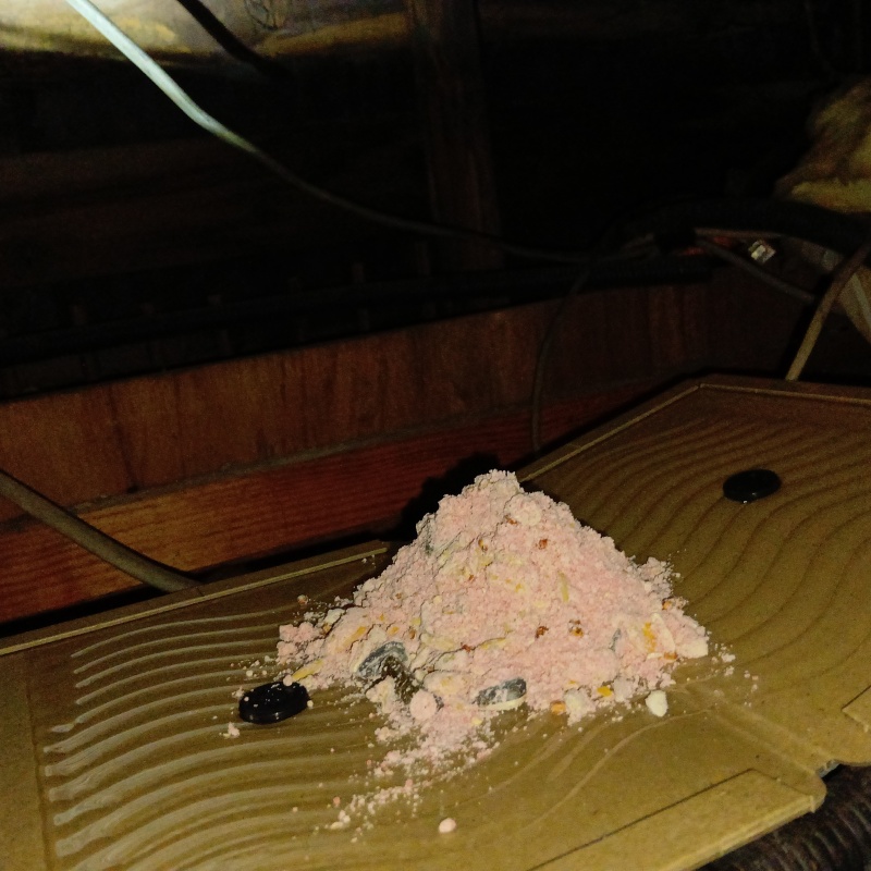 粘着シートの上に殺鼠剤を設置