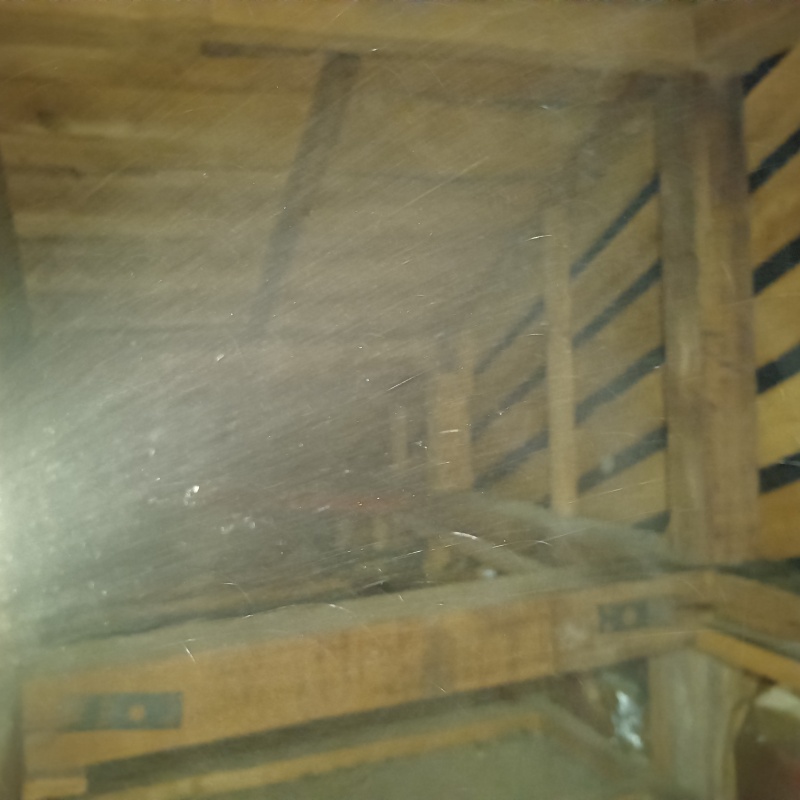 忌避剤をスプレー