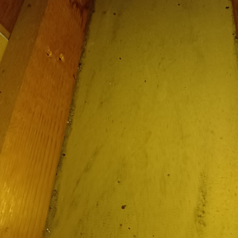 清掃が完了した様子