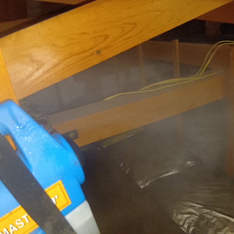 噴霧器で除菌剤を散布