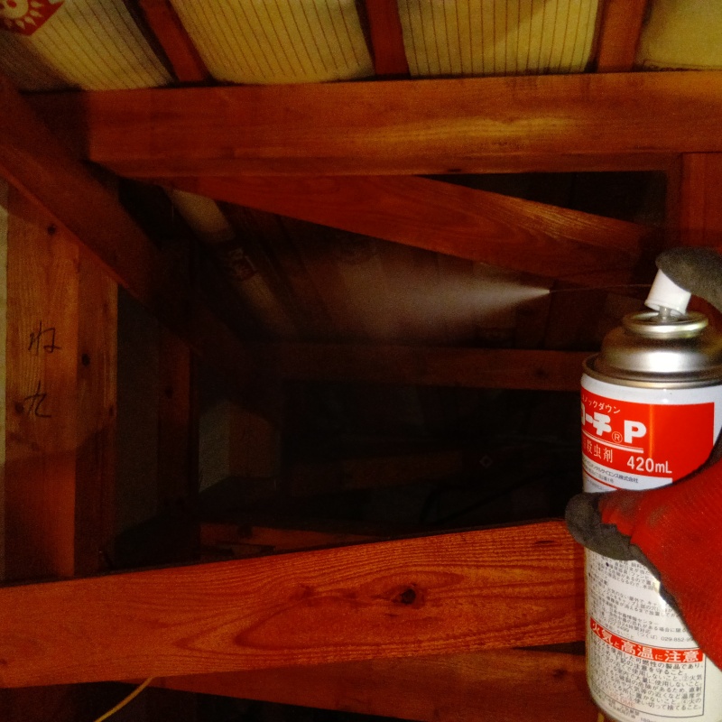 屋根裏に殺虫剤をスプレー