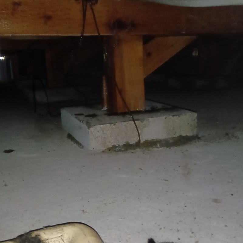 築年数39年のシロアリ予防の施工事例（千葉県浦安市舞浜）