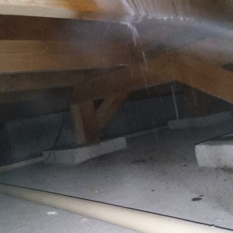 床下木材に防蟻剤を吹き付けている様子