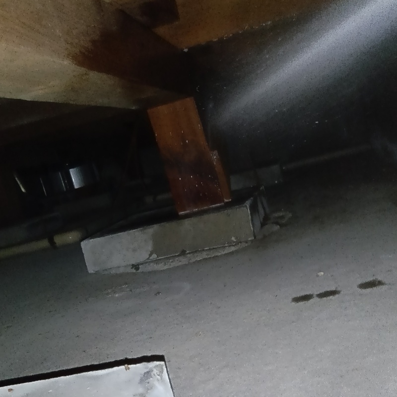 床下木材に防蟻剤を吹き付けている様子