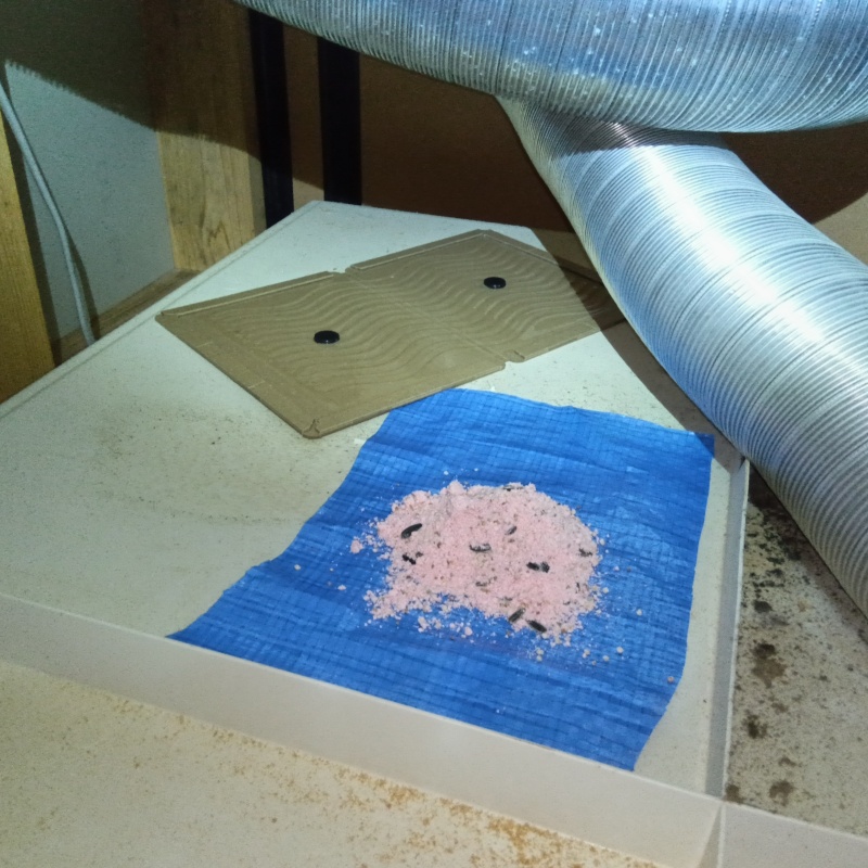 殺鼠剤と粘着シートを設置