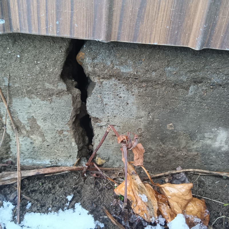 ネズミ駆除の施工事例（新潟県長岡市草生津）