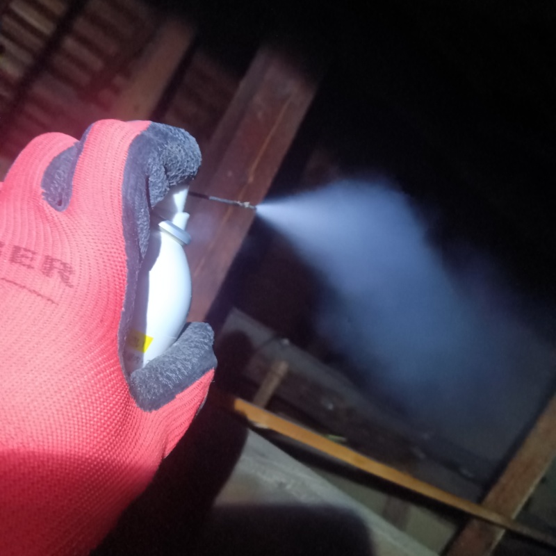 殺虫剤をスプレー