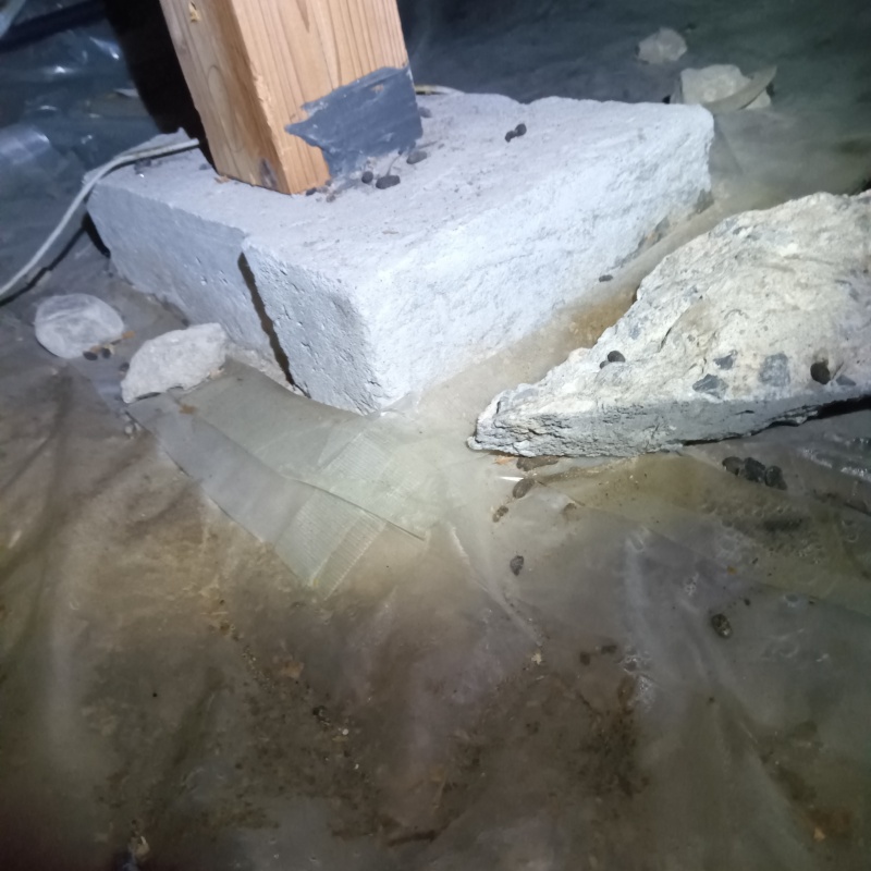 噴霧器で除菌剤を散布