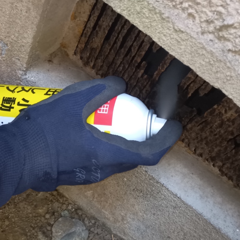 床下換気口から内部に忌避剤をスプレー