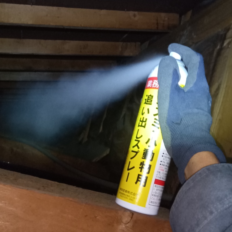 天井裏に忌避剤をスプレー