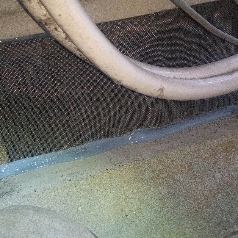 床下換気口をネットとパテで封鎖