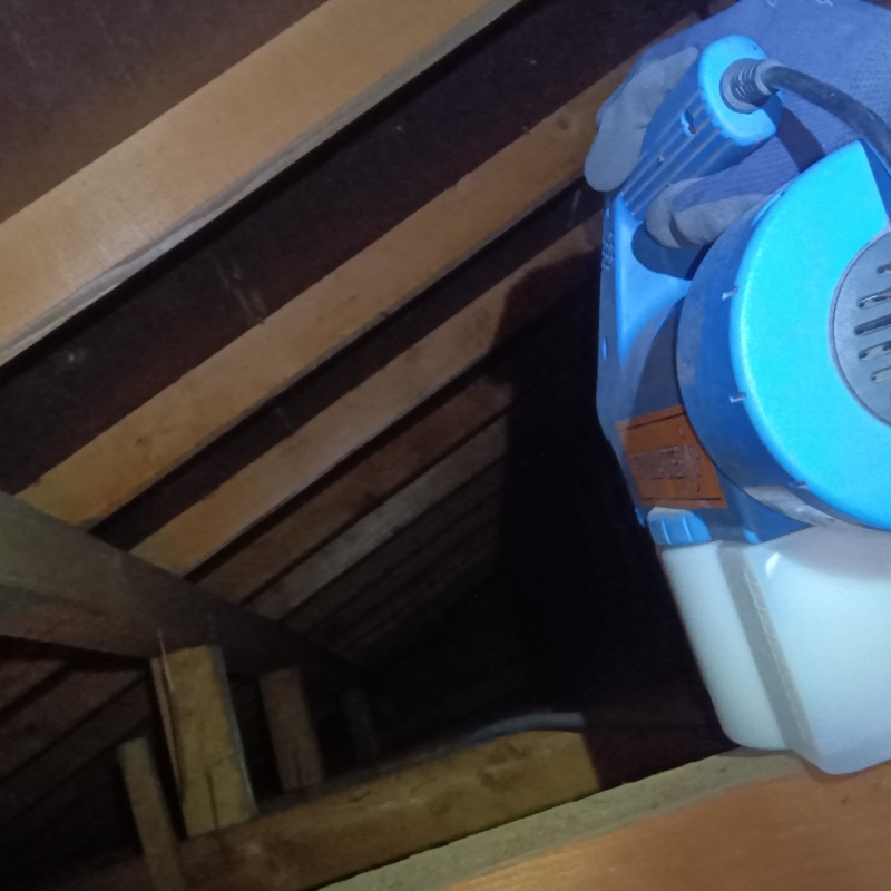 噴霧器で除菌剤を散布