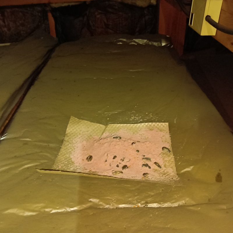 屋根裏に殺鼠剤を設置