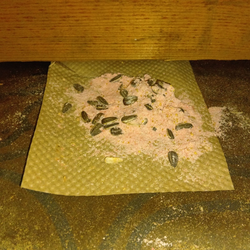 床下に殺鼠剤を設置