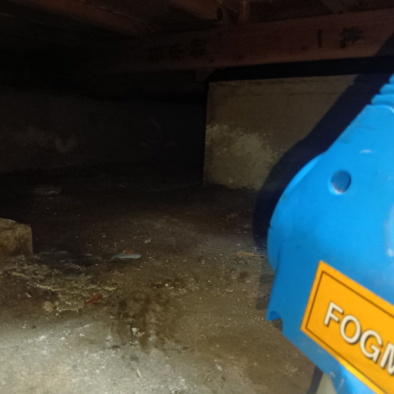 噴霧器で除菌剤を散布