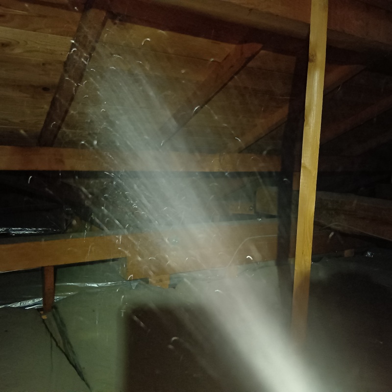 殺虫剤をスプレー