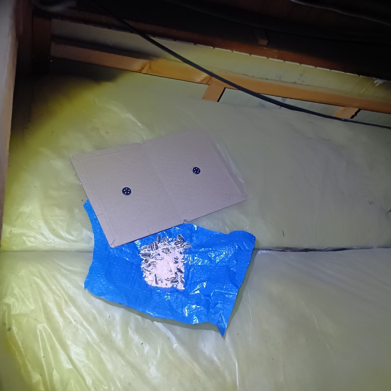 断熱材の上に殺鼠剤と粘着シートを設置