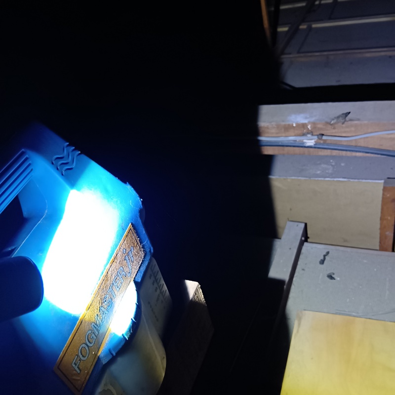 噴霧器で除菌剤を散布