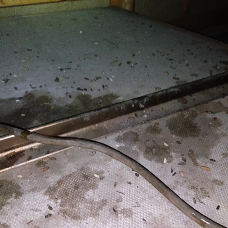 ネズミ駆除の施工事例（岐阜県多治見市笠原町）