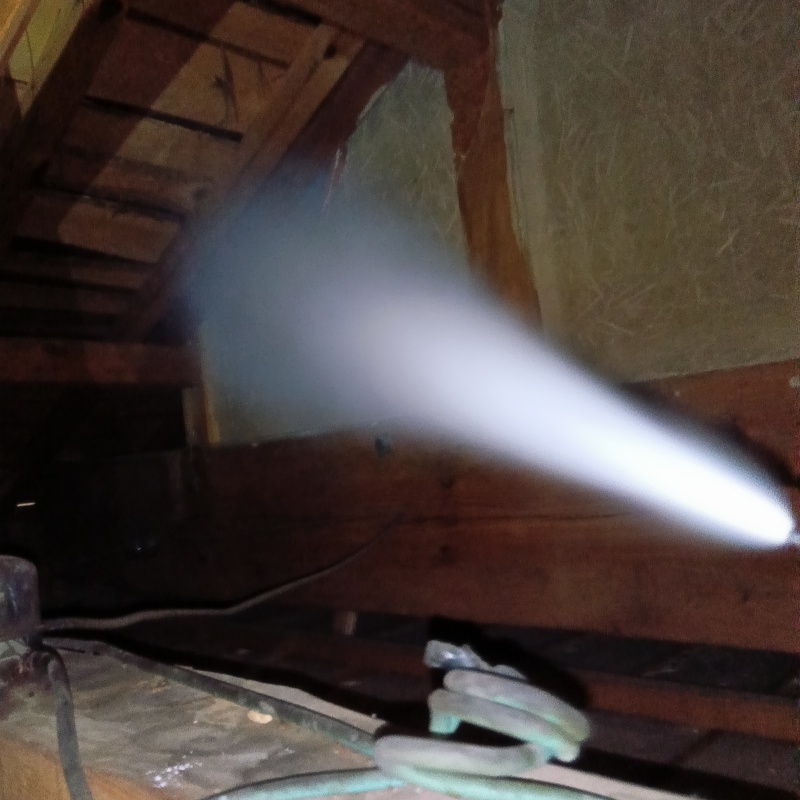 忌避剤をスプレー