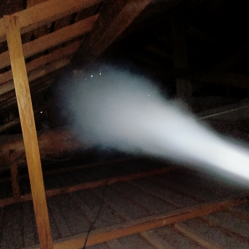 殺虫剤をスプレー