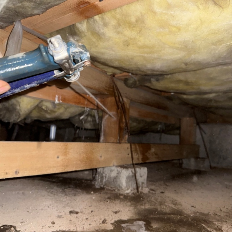 床束に防蟻剤を吹き付ける様子