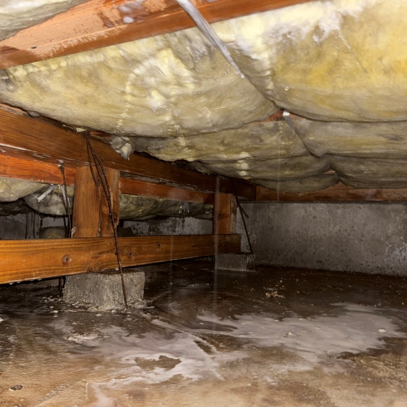 床下断熱材に防蟻剤をまんべんなく散布