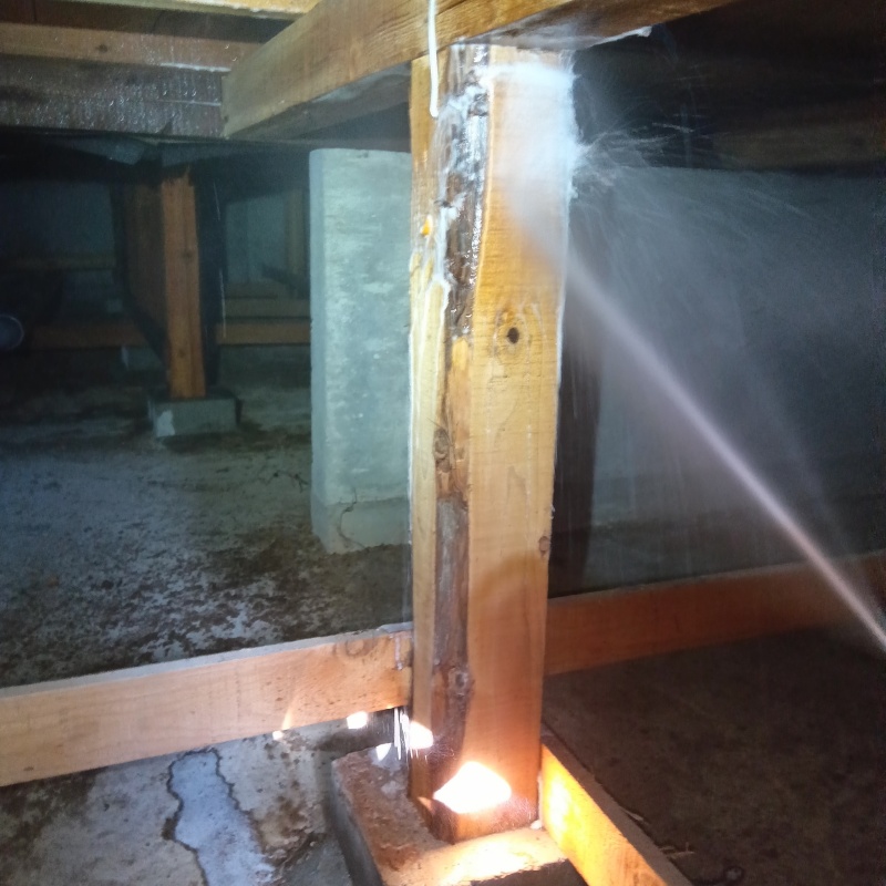 床束にシロアリ駆除剤を散布