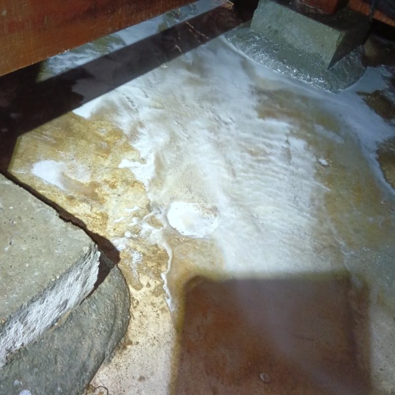 コンクリートの地面に作られた蟻道