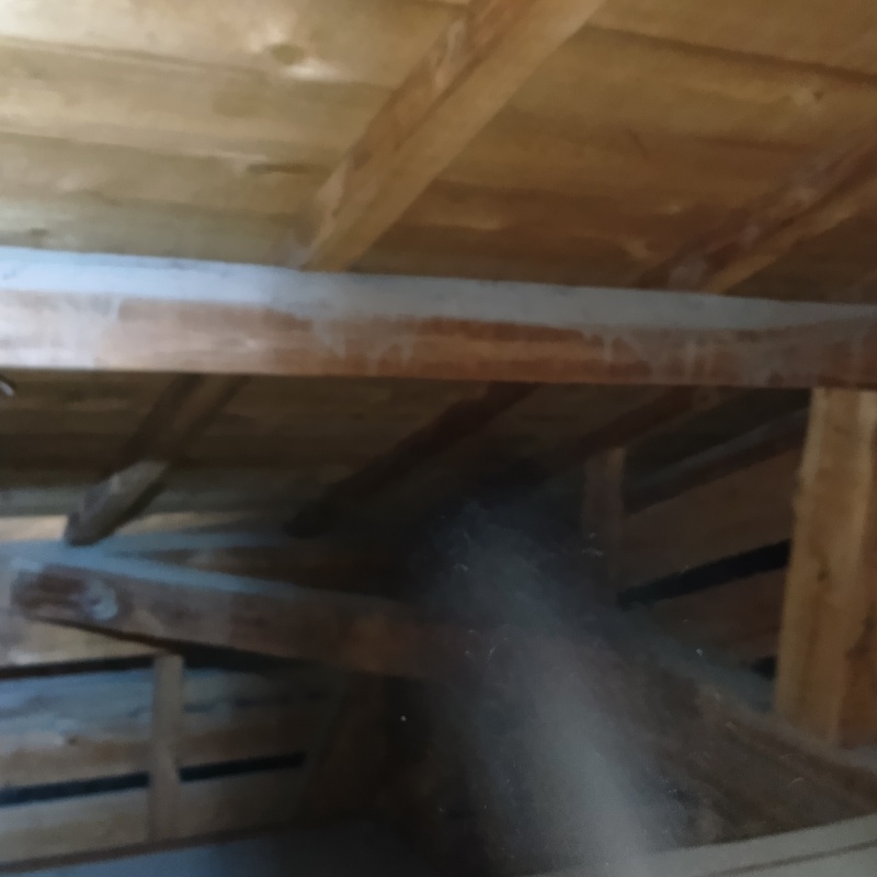 屋根裏の木材にシロアリ駆除剤を散布