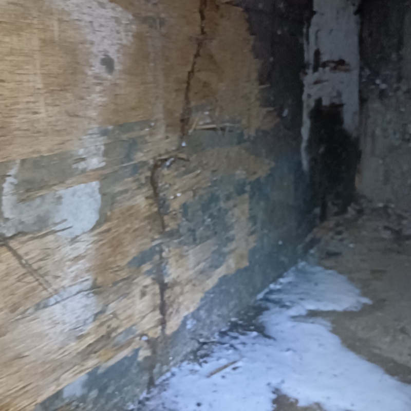 床下の基礎に亀裂が入っている様子