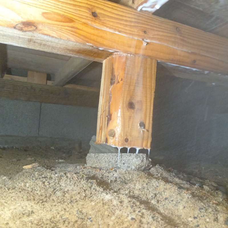 床束に防蟻剤を散布