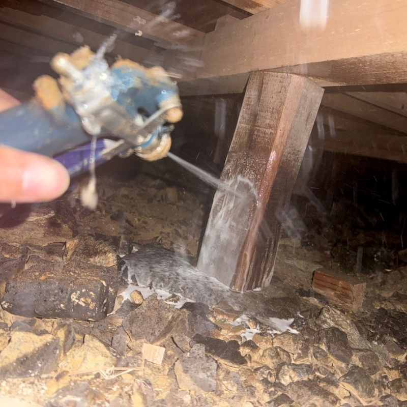 床下の木部にシロアリ駆除剤を散布