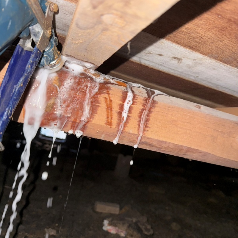 床下の木部にシロアリ駆除剤を散布