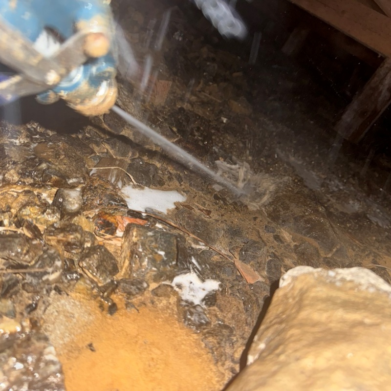 床下の土壌にシロアリ駆除剤を散布する様子