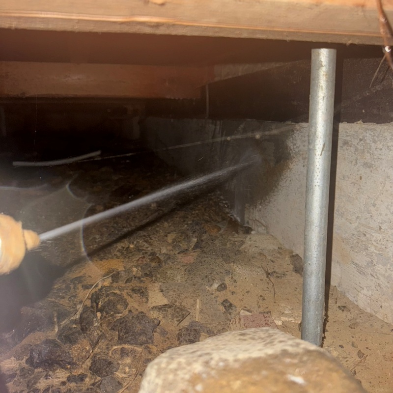 床下の基礎部分にシロアリ駆除剤を散布