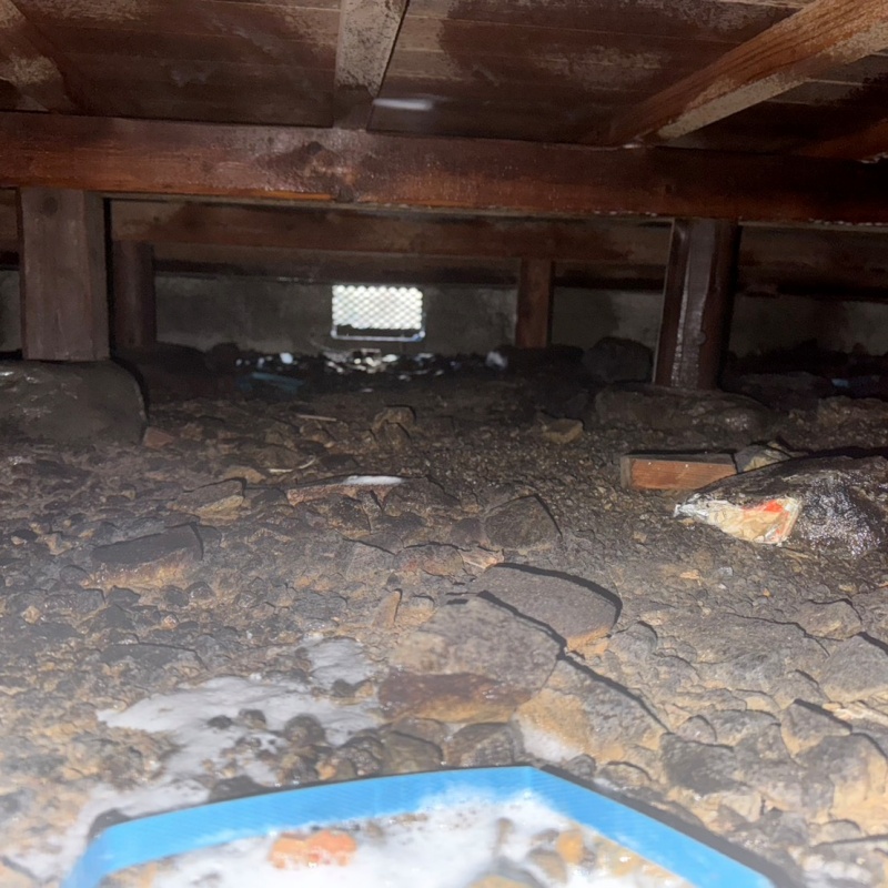 調湿材を敷く前の様子