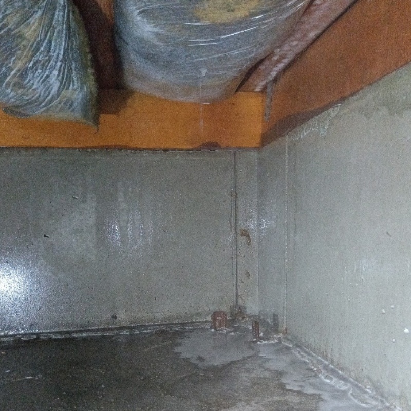 地面にシロアリ駆除剤を散布