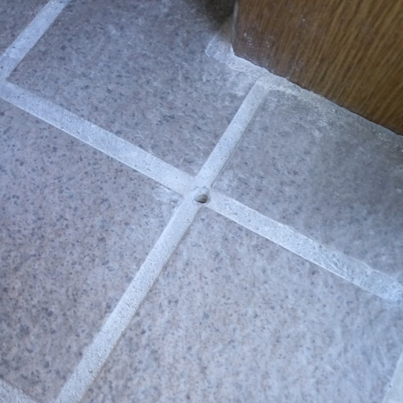 シロアリ駆除剤を注入する穴を開けている様子