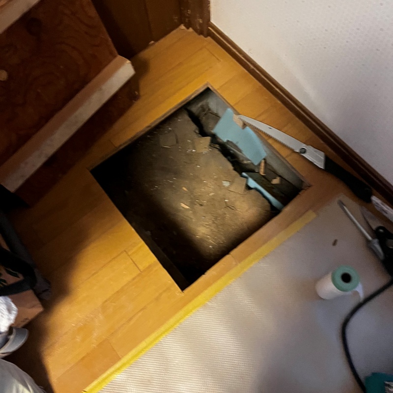 床下点検口から土壌の状態を確認している様子