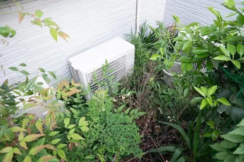 ハクビシン駆除の方法5　草刈りをする