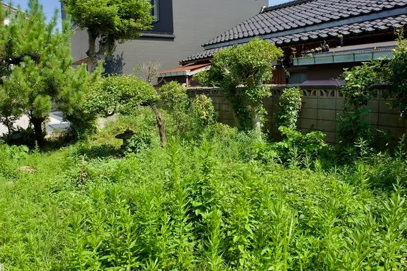 アライグマの駆除方法4 環境を変える