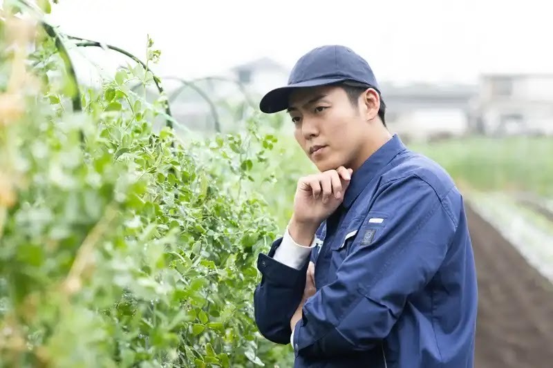 害獣対策8選を紹介