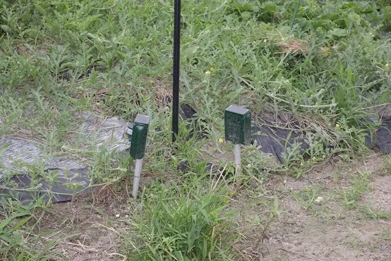 害獣対策2音と光を使う