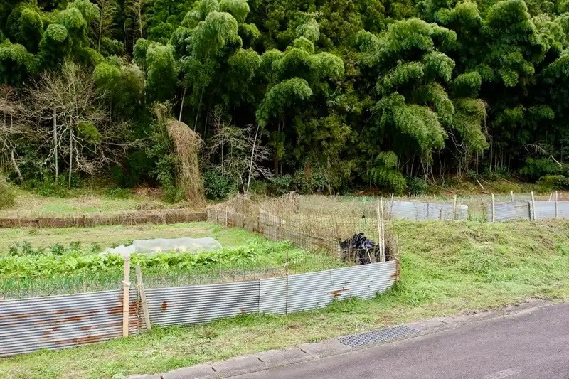 害獣対策3柵やネットで侵入対策をする