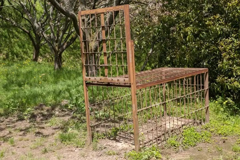 害獣対策8どうしてもうまくいかないときはプロに相談する